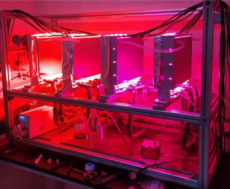 Comprehensive Technical Solution for DHAA to artemisinin photocatalytic oxidation
